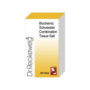 Schuessler Combination Salts Homeopathic Dr Reckeweg 200 Tablets Lactose - Picture 1 of 29