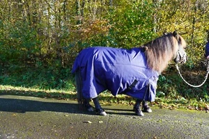Regendecke 1200D 65, 75, 85, 95, 105 Shetty Outdoordecke - Bild 1 von 13