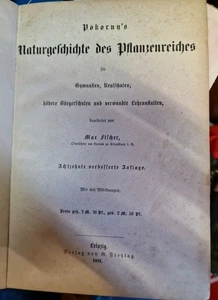 Dokornhs, Naturgeschichte Des Pflanzenreiches, 1891 - Bild 1 von 1
