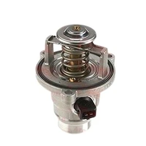 PER BMW SERIE 5 6 7 X5 X6 M5 M6 NUOVO TERMOSTATO RAFFREDDAMENTO 11537502779 - Foto 1 di 2