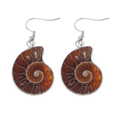 Natural Gemstone Random Size and Color Ammonite Fossil Shell Druzy Stone Earring - Image 1 of 3