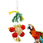  Set of 2 Parrot Bite Toy Nativity Rope Toys Cockatiel Christmas