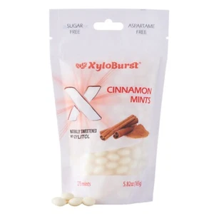 XyloBurst Mints Sugar Free Cinnamon Mint candies with Xylitol 275 Count Bag