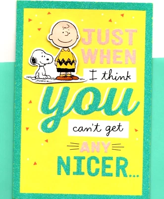 Tarjeta de felicitación Peanuts Snoopy Charlie Brown Thank You So Nice Hallmark Foto 1 de 3
