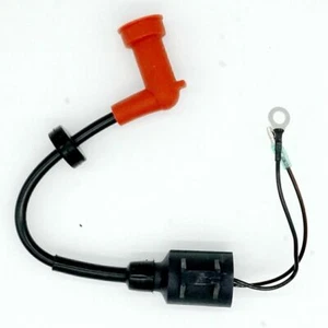 Conjunto de bobina de encendido 63V-85570-00-00 para fueraborda Yamaha Parsun 15P 63V 2T - Imagen 1 de 6