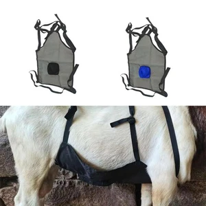 Anti Breeding Goats Apron Breathable Livestock Supplies - Picture 1 of 13