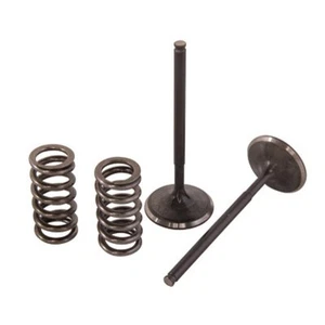 Pro X Steel Exhaust Valve/Spring Kit For Kawasaki KX450F 2009-2018 - Picture 1 of 3