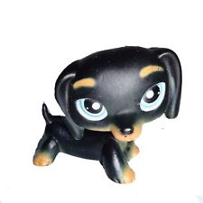 Littlest Pet Shop Dachshund Black Dog Blue  Dotted Eyes Hasbro Blue Magnet #325
