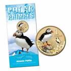 2013 RAM $1 Coloured Polar Animals - Atlantic Puffin Coin - Carded D5-1223