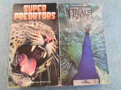 LOT OF 2 WILDLIFE VHS SUPER PREDATORS 1993, THE TRIALS OF LIFE COURTING 1991 - Image 1 of 4