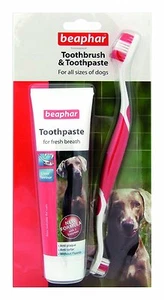 Juego de pasta de dientes y cepillo de dientes para perro Beaphar 100 g hígado antiplaca - Imagen 1 de 3