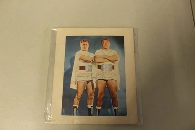 Vintage Wrestling Print Bastian Brothers Fan souvenir In Collector Sleeve - Image 1 of 4