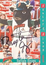 Buster T. Bison 1998 Choice Buffalo Bisons Mascot Autographed Card