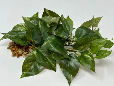LOWER FORTY FARM 8" LONG, LOW Green/White POTHOS Bush, soft silk aquarium plant, stone base, Gold