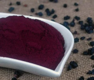 Krauterino24 - Heidelbeeren Blaubeeren sprühgetrocknet - 500g - Bild 1 von 1