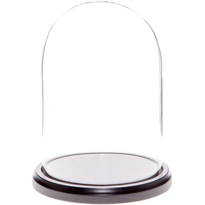 Cúpula de exhibición de vidrio Plymor de 5,5" x 8" (base de madera MDF negra) - Imagen 1 de 1