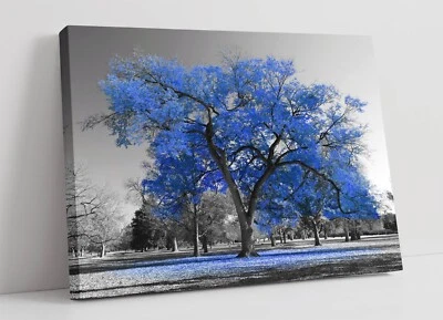 INDIGO BLUE TREE BLACK & WHITE BACKGROUND -FRAMED CANVAS WALL ART PICTURE PRINT - Image 1 of 2