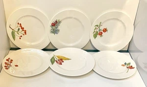 Crate & Barrel Mary Woodin Appetizer Plates 6 w red box Winter Leaves & Berries - Picture 1 of 17