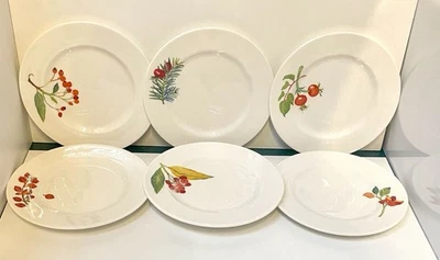 Crate & Barrel Mary Woodin Appetizer Plates 6 w red box Winter Leaves & Berries - Image 1 of 4