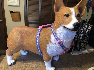 Nuevo con etiquetas Arnés para Perros Colección Eastside Grande 20-28 Pulgadas Peces Playa Rosa Azul Foto 1 de 4