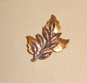 Pin de cobre y esmalte con rama de hojas de Matisse Renoir - Imagen 1 de 7