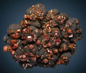 Vanadinite on Psilomelane, Taouz, Er Rachidia Province, Morocco 0900-0102 - Picture 1 of 5