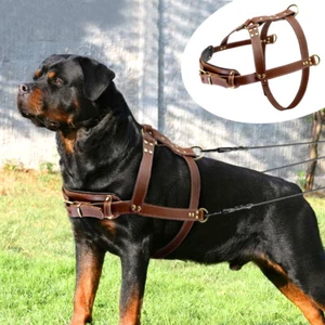 Real Leather Dog Harness Heavy Duty Adjustable for Rottweiler Pitbull Mastiff XL - Picture 1 of 13