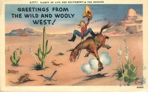 Greetings from Wild & Wooly West Cowboy Excitment in the Rockies 1942 Postcard - Bild 1 von 2