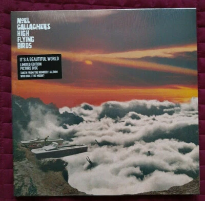 NOEL GALLAGHER'S HIGH FLYING BIRDS -  It's A Beautiful World - 12" Picture Disc - Image 1 of 3