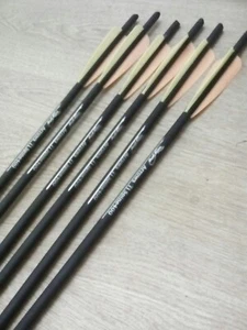 Crossbow Bolts full carbon 6 x 20" 8.8mm ti SP 400 UK SELLER - Picture 1 of 5