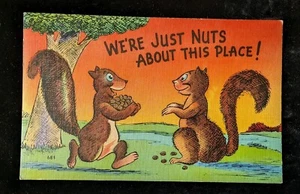 Vintage Linen Postcard 2 Squirrels "We're Just Nuts About This Place!" Unposted - Picture 1 of 3