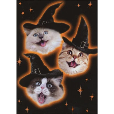 Tarjeta divertida de Halloween caras de gatito en sombreros de bruja con contorno naranja y estrellas Foto 1 de 2
