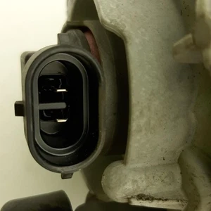 Luz para conjunto antiniebla derecha Legacy OEM picada Bmpr - Imagen 1 de 3