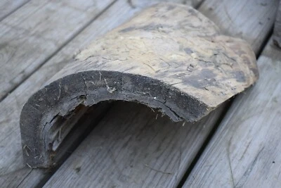 BEETLE ART!  TUNNEL CAVE DRIFTWOOD TERRARIUM AQUARIUM FISH TANK TAXIDERMY DECOR - Image 1 of 4