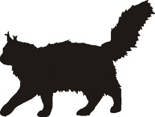 Profiles Range Motif Hanging Basket Main Coon Design