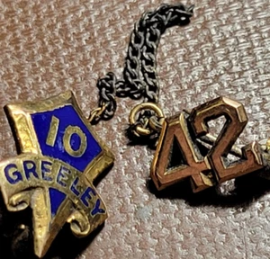 Pin escolar Horace Greeley PS 10 1947 - Imagen 1 de 7
