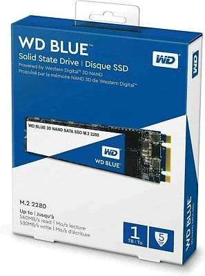 HD SSD SOLIDO M.2 WDS100T2B0B WD BLUE 3D 1TB PC WESTERN DIGITAL 1000GB DESKTOP - Immagine 1 di 2