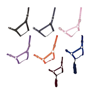 Gallop Equestrian Basic Nylon Kopfkragen und Leadrope voll