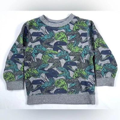 GYMBOREE Niños Dinosaurio Sudadera 2T Polar Pullover Divertido Estampado Prehistórico Foto 1 de 4