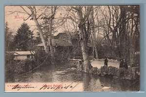 CR2995 Cart. Regional: Mailand - Öffentliche Gärten - Reise 1903 - Bild 1 von 1