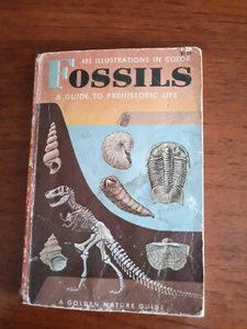 FOSSILS A Guide to Prehistoric Life 1962 A Golden Nature Guide by Frank Rhodes - Picture 1 of 4