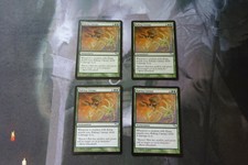 MTG - 4 x Raking Canopy - NM Condition - Shadowmoor