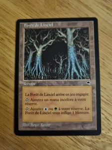 MTG - Skyshroud Forest - Tempest - French Edition - Picture 1 of 2