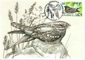 2021. Common Nightjar. Maxi Card (FDC) - Picture 1 of 2