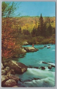 Una pintura de aguas blancas y bosque colorido, madre naturaleza, postal vintage. - Imagen 1 de 2