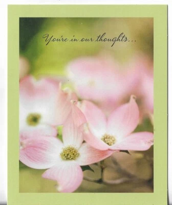 NEW Sympathy Card apx 4.75x5.75 You're in Our Thoughts - Pink Flowers - Image 1 of 3
