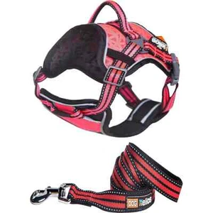 Hunde Helios verstellbares Geschirr Weste und Leine Kombination - klein - rosa - Bild 1 von 6