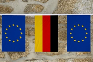 European Union and EU Countries Flag Friendship Bunting - MADE IN THE UK - Picture 1 of 28