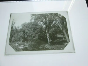 LATE 1800s EARLY 1900s GLASS POSITIVE; STREAM, TREES, UNKNOWN LOCAL, N.E.? #1 - Picture 1 of 1