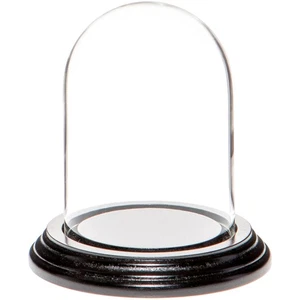 Cúpula de exhibición de vidrio Plymor de 3" x 4" (base de chapa de madera negra) - Imagen 1 de 2